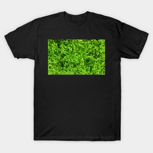 Lush Green Leafy Plants T-Shirt